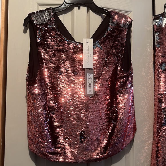NWT EVA MENDES TWO PIECE SEQUINS PINK SET SIZE XL TOP AND BOTTOM XL - Picture 3 of 9